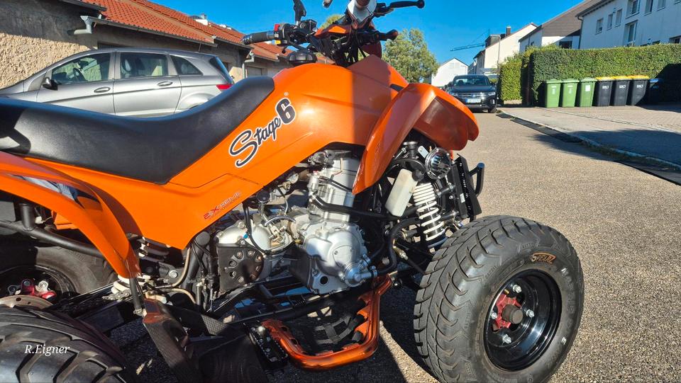  Gelöscht • Quad Dinli DL-801 300ccm 2013 — вигляд ззаду