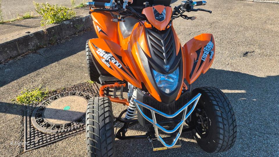  Gelöscht • Quad Dinli DL-801 300ccm 2013 — салон