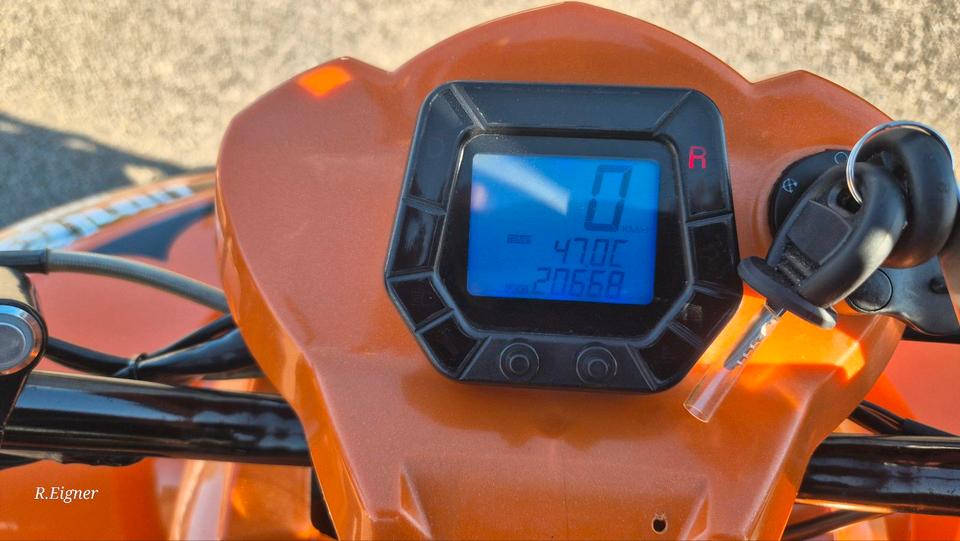  Gelöscht • Quad Dinli DL-801 300ccm 2013 — двигун 300 ccm