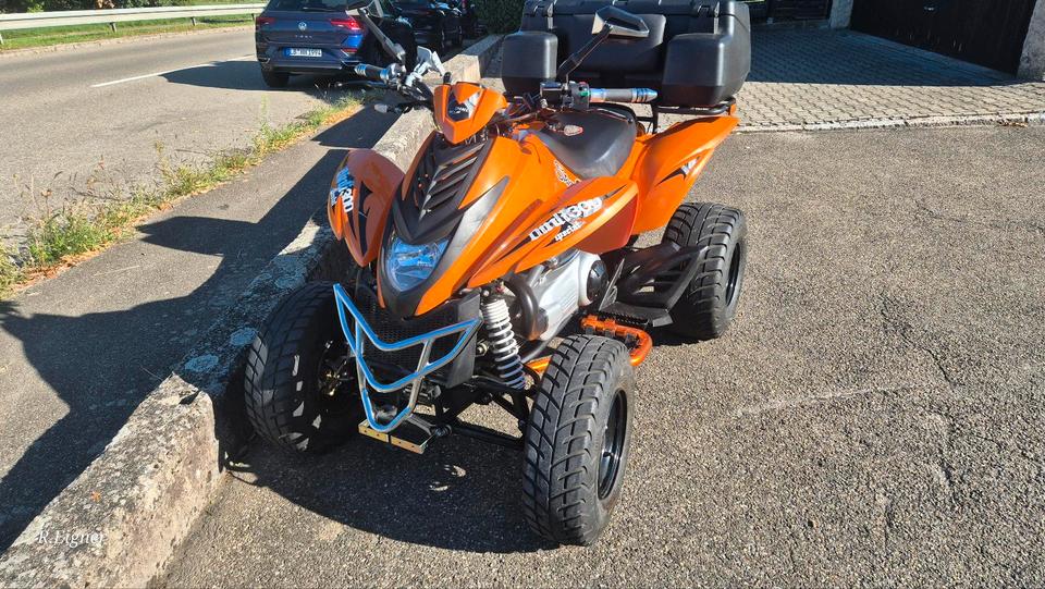  Gelöscht • Quad Dinli DL-801 300ccm 2013 — фото 8