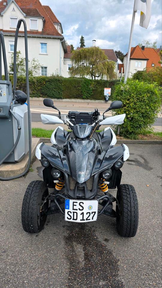 Weitere Motorräder Gelöscht • TGB Target 325 Quad ATV 2014 — вигляд ззаду