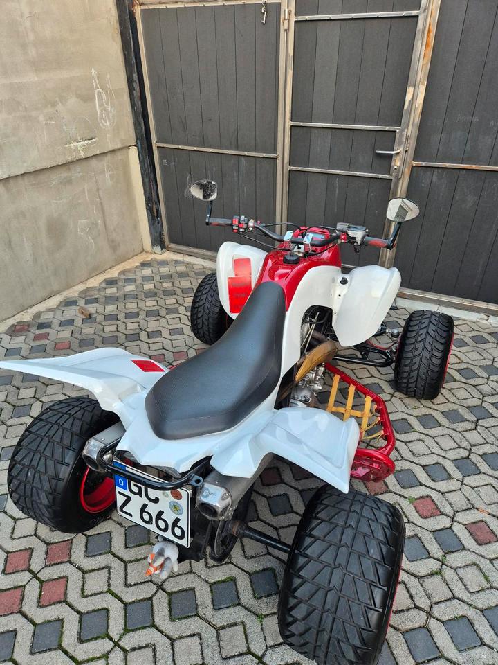 Yamaha Raptor 7O0R Supermoto LOF DMC Auspuff |TÜV 05/2028 2011 — rear view
