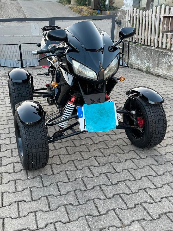  Quad 350ccm 2010 — rear view