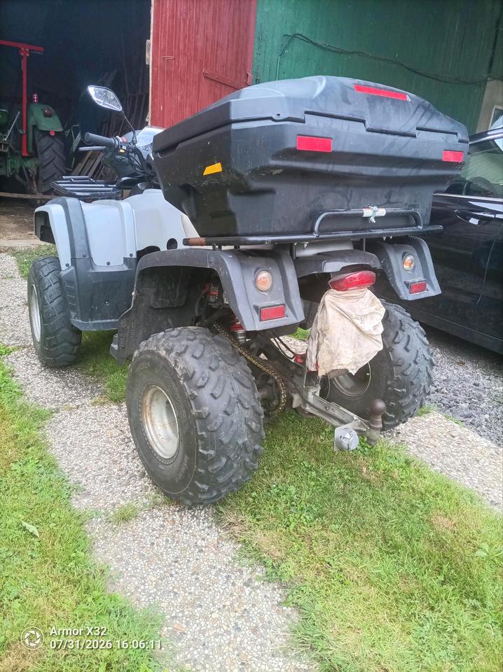 Weitere Motorräder Quad ATV 300 2007 — rear view