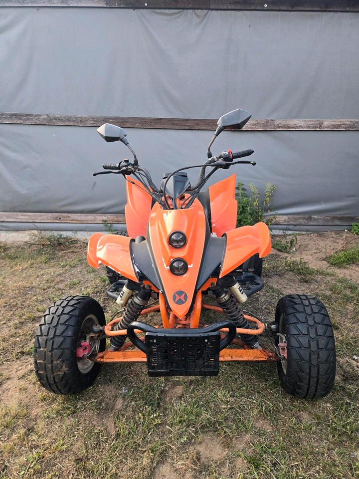 Weitere Motorräder Shineray Spyder Stixe 250ccm Quad mit Drehgas 2 Sitzer 2012 — rear view
