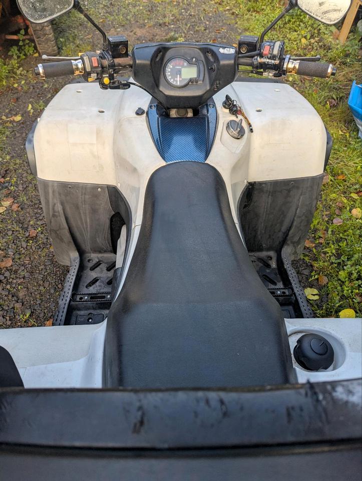  Cectek Quad 500 2008 — photo 6