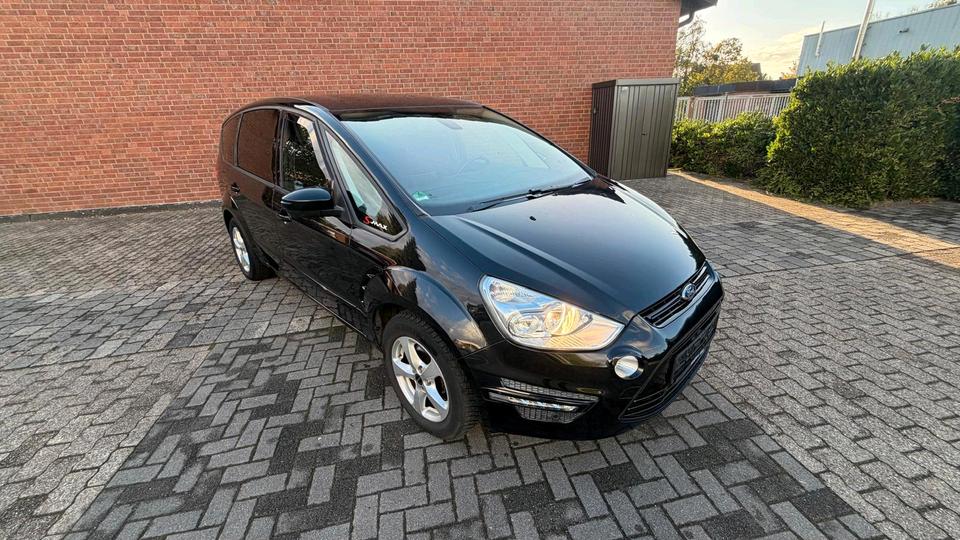 Ford S-Max 2011 — rear view