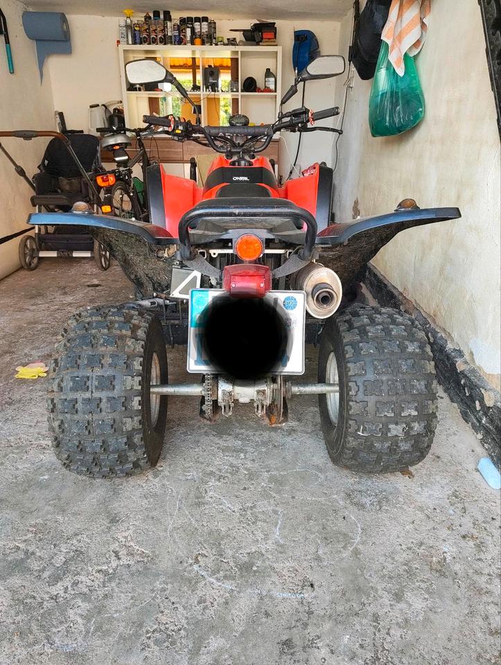 Weitere Motorräder Gelöscht • Adly 300s Quad 2004 — engine 300 ccm