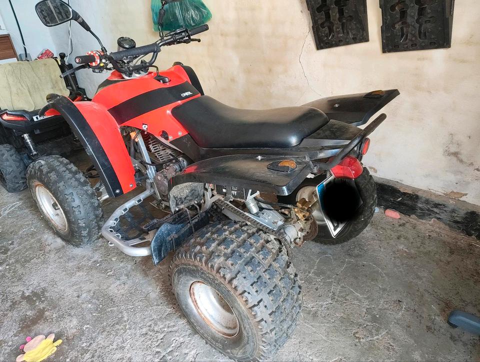 Weitere Motorräder Gelöscht • Adly 300s Quad 2004 — photo 5