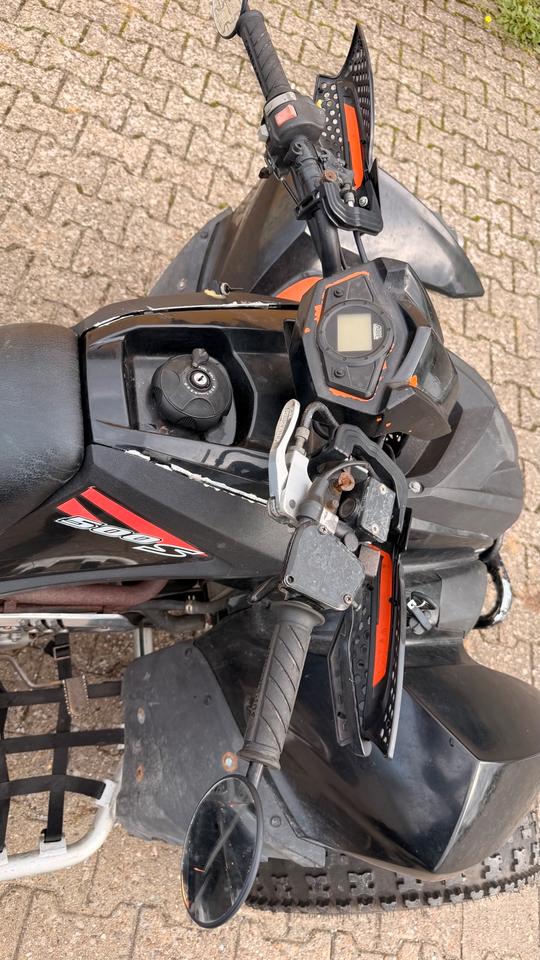  Beeline ATV 500s Bestia Bastlerfahrzeug 2010 — photo 11