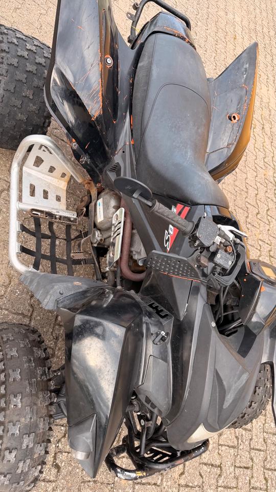  Beeline ATV 500s Bestia Bastlerfahrzeug 2010 — photo 12