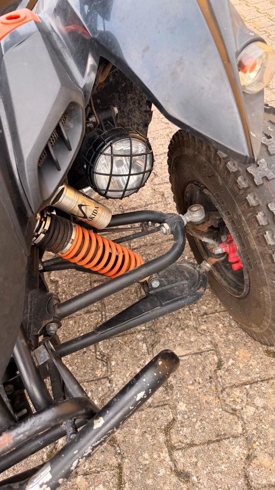  Beeline ATV 500s Bestia Bastlerfahrzeug 2010 — photo 16