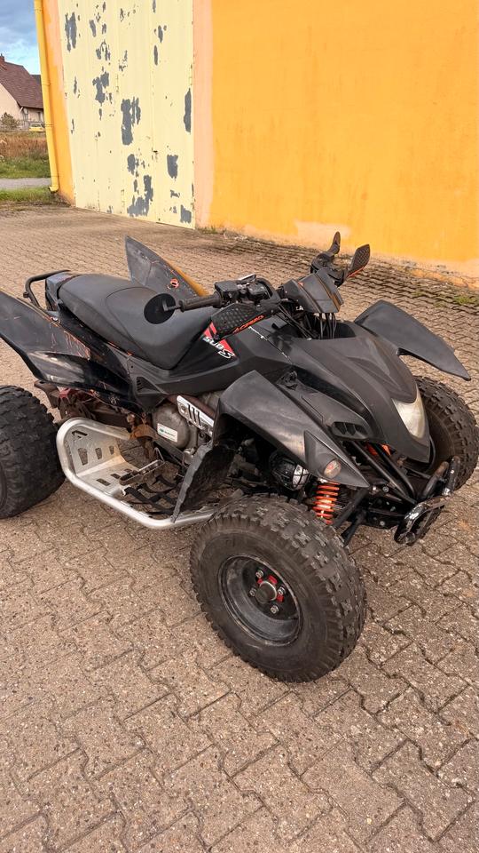  Beeline ATV 500s Bestia Bastlerfahrzeug 2010 — rear view