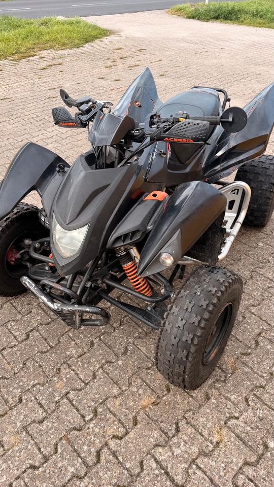  Beeline ATV 500s Bestia Bastlerfahrzeug 2010 — interior