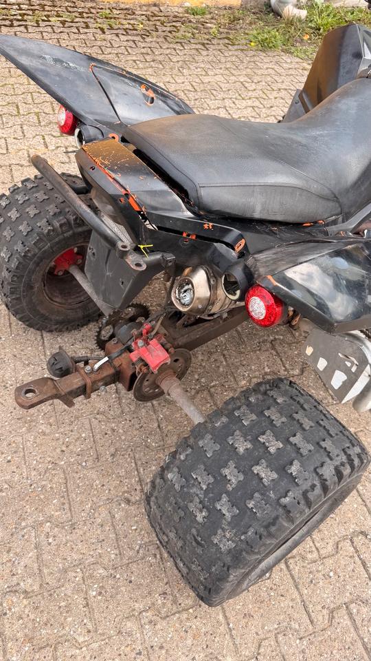  Beeline ATV 500s Bestia Bastlerfahrzeug 2010 — photo 8