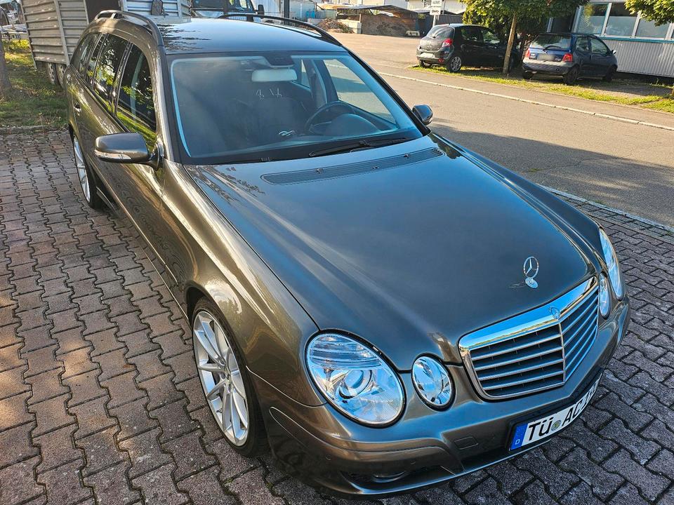 Mercedes Benz Weitere Mercedes Benz 2008 — interior