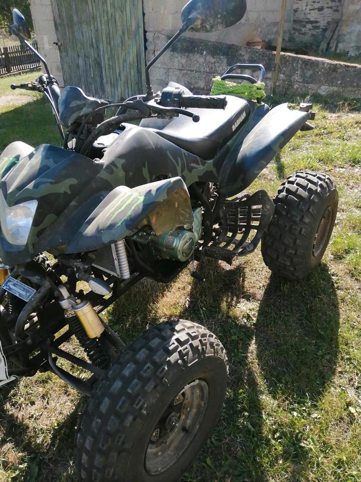 Verkaufe mein Quad Bashan BS250S11 2010 — авто для ЗСУ з Європи