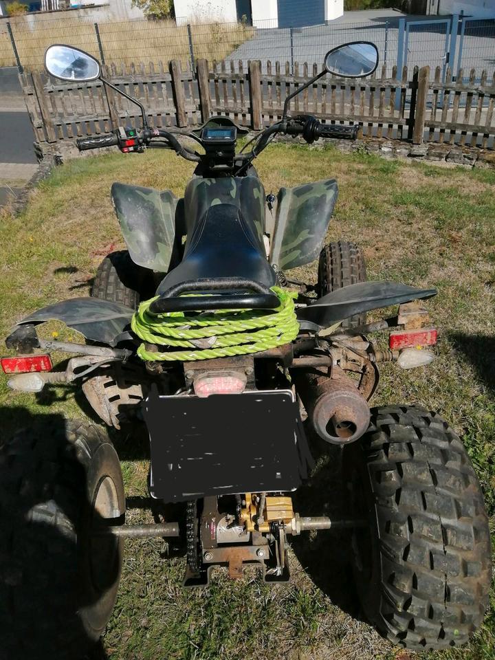  Verkaufe mein Quad Bashan BS250S11 2010 — вигляд ззаду