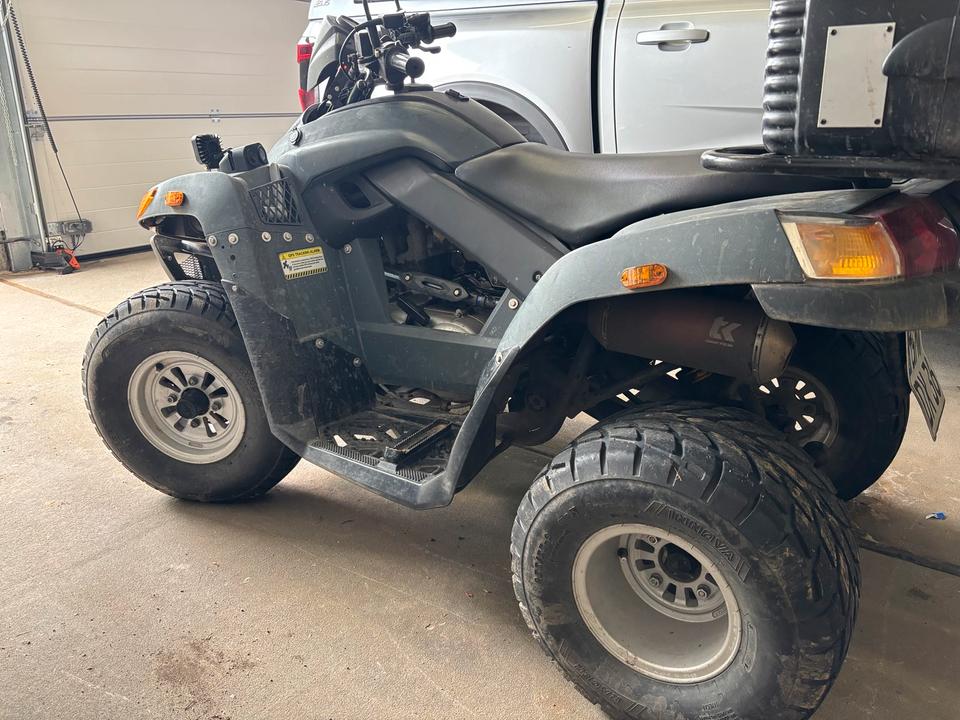 Weitere Motorräder Quad SYM 300 mit Seilwinde 2008 — rear view