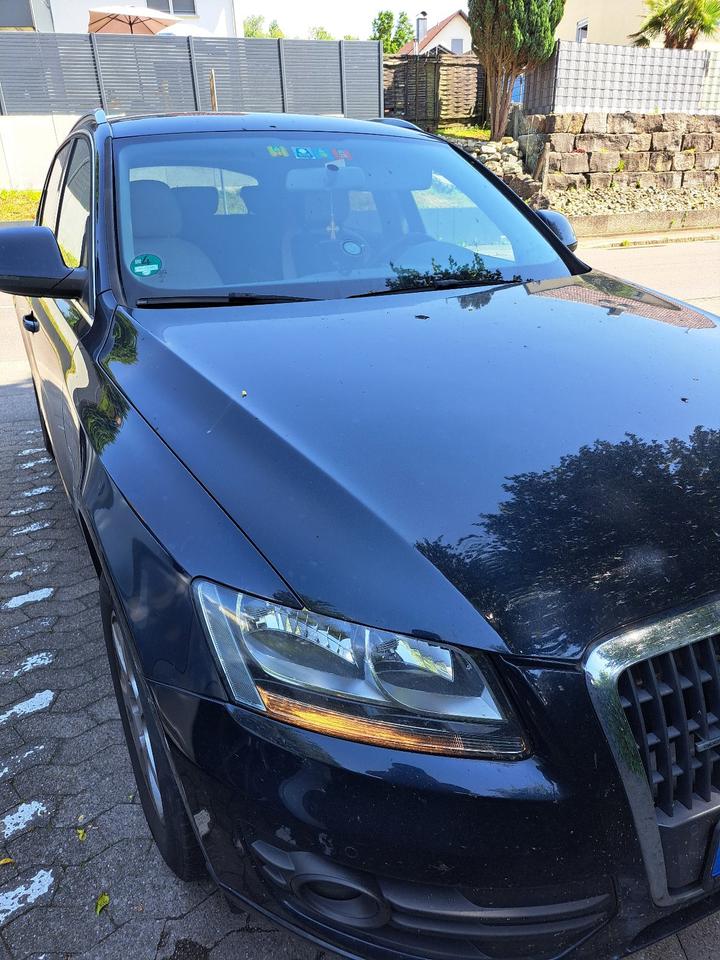 Audi Q5 2010 — photo 11