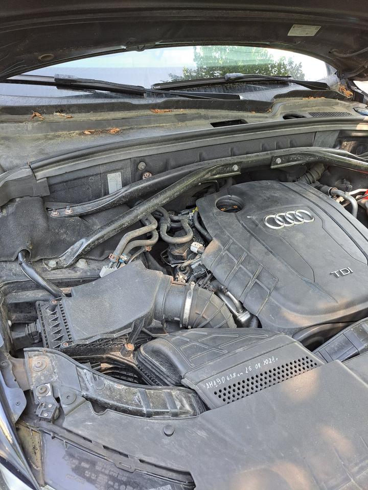 Audi Q5 2010 — photo 12