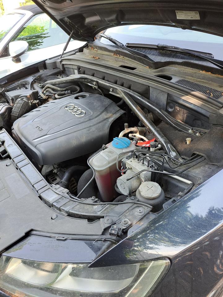 Audi Q5 2010 — photo 13
