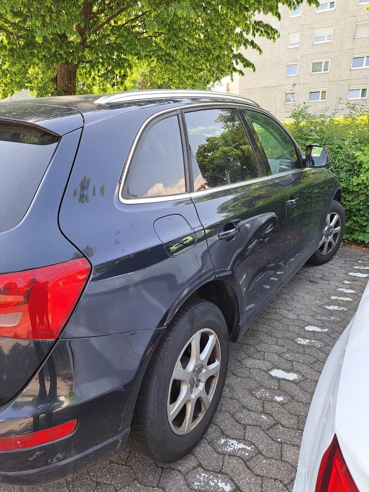 Audi Q5 2010 — photo 5