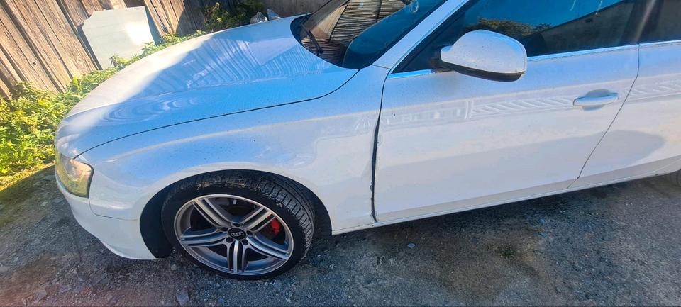 Audi A4 2014 — photo 12