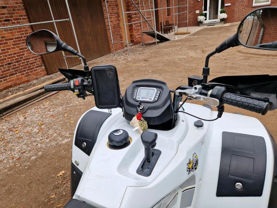  Quad TGB Blade 325 2010 — двигун 287 ccm