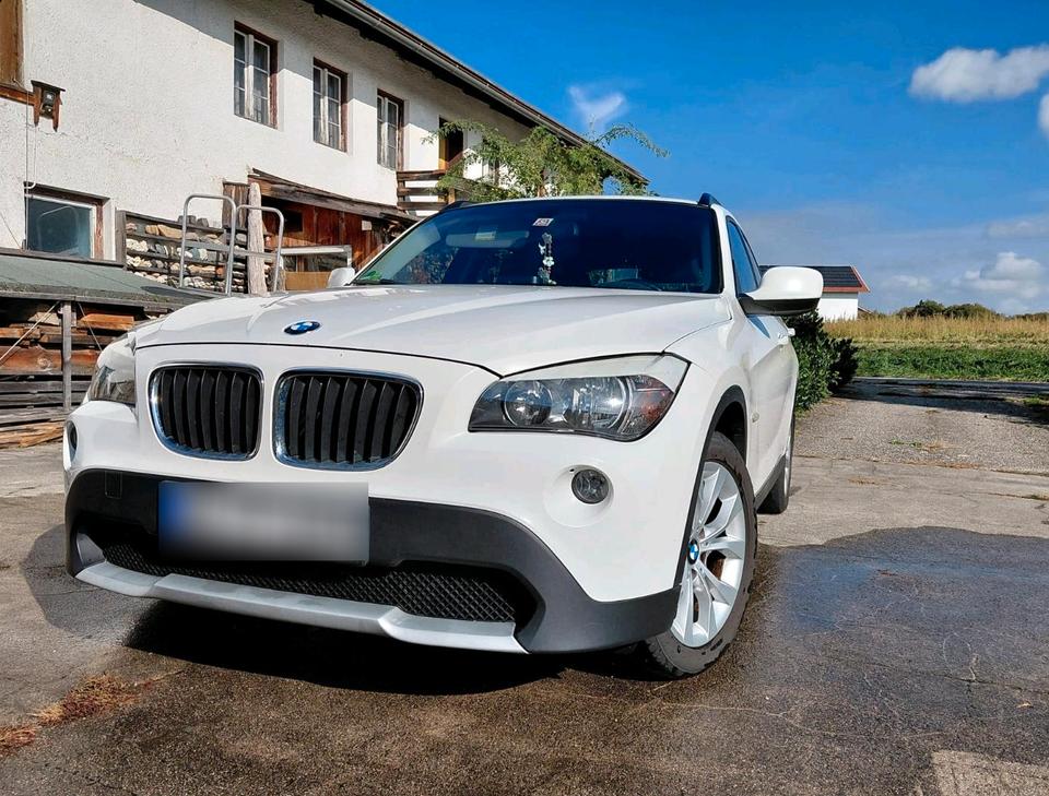 BMW X1, 2010