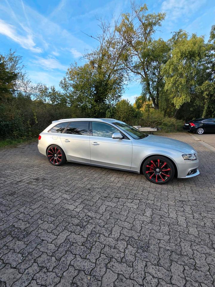 Audi A4 2009 — вигляд ззаду