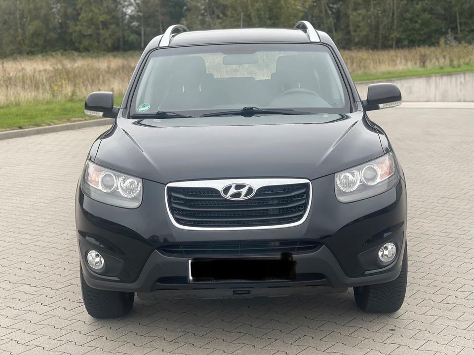 Hyundai Santa 2010 — interior