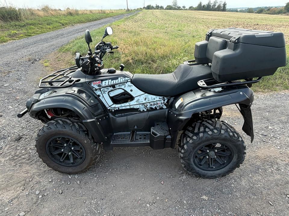  Quad TGB Blade 550i LT 4x4 LOF- Zulassung lange Version 2015 — фото 7