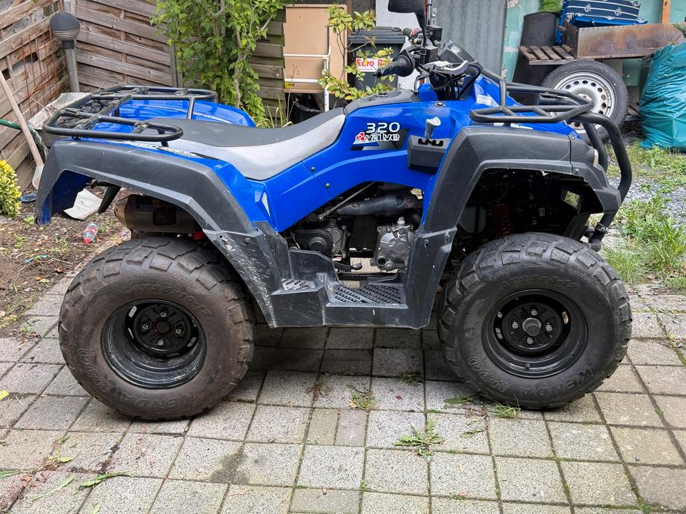  Quad Adly 320 ccm TÜV für Bastler 2008 — interior