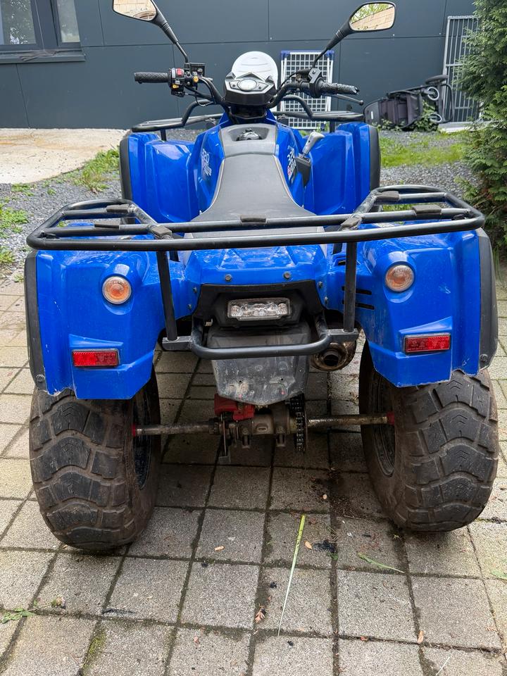  Quad Adly 320 ccm TÜV für Bastler 2008 — engine 320 ccm