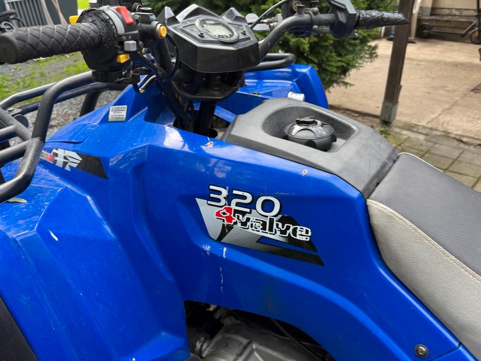  Quad Adly 320 ccm TÜV für Bastler 2008 — photo 6