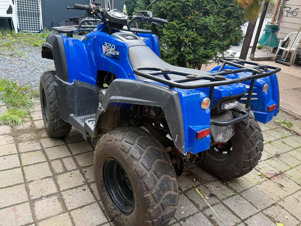  Quad Adly 320 ccm TÜV für Bastler 2008 — photo 8