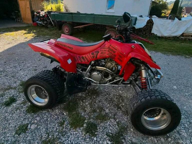 Weitere Motorräder Hyosung TE 450 Sport Quad 2011 — вигляд ззаду