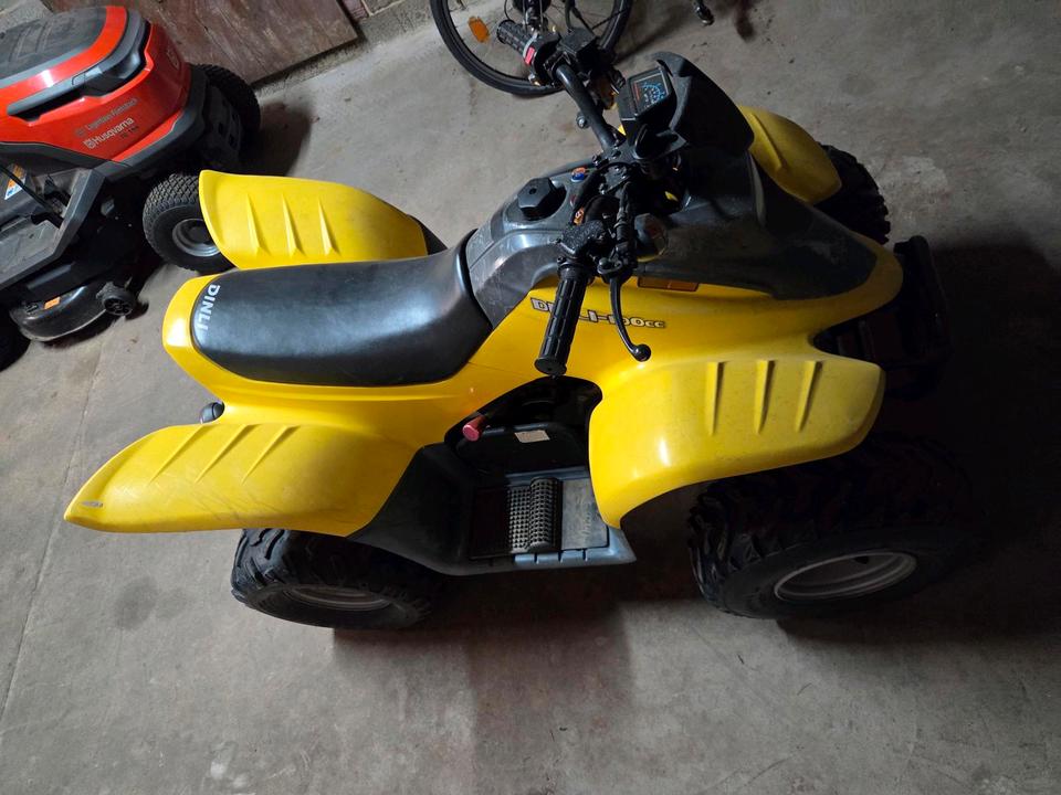  Sachs Dinli T-Rex 100 Model DL-601 Quaf 2004 — rear view