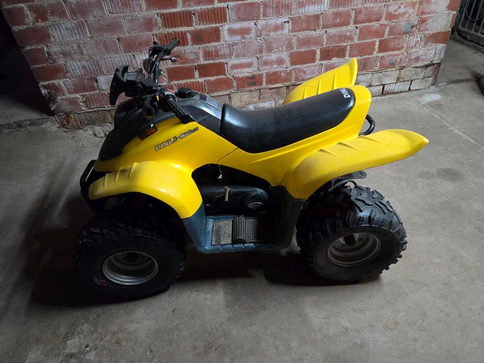  Sachs Dinli T-Rex 100 Model DL-601 Quaf 2004 — interior