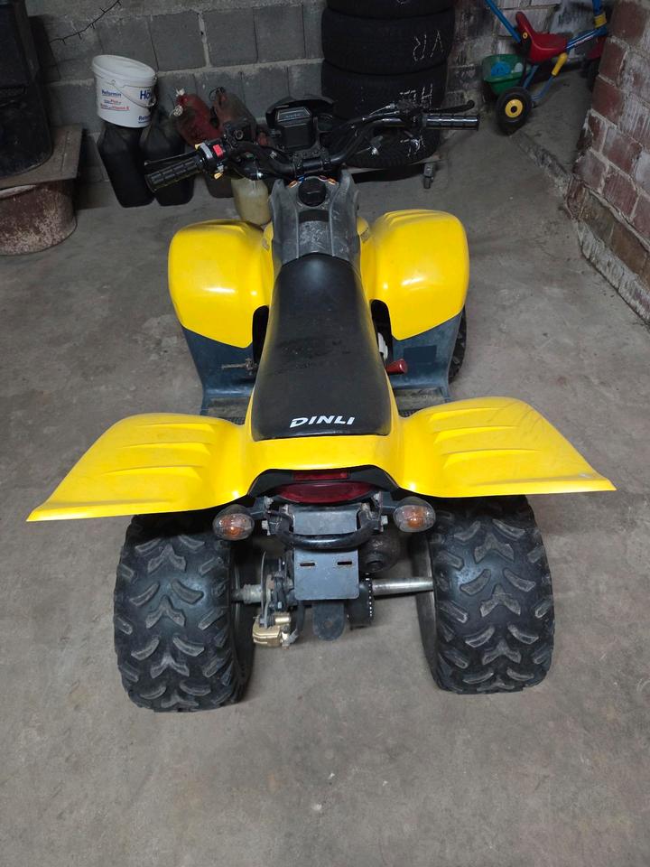  Sachs Dinli T-Rex 100 Model DL-601 Quaf 2004 — engine 100 ccm