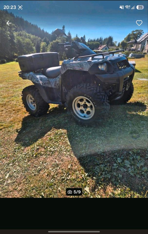 Kawasaki Brute Force 750i 2011 — rear view
