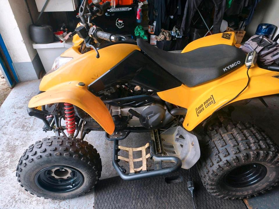 Kymco Kxr 250 Quad 2007 — rear view