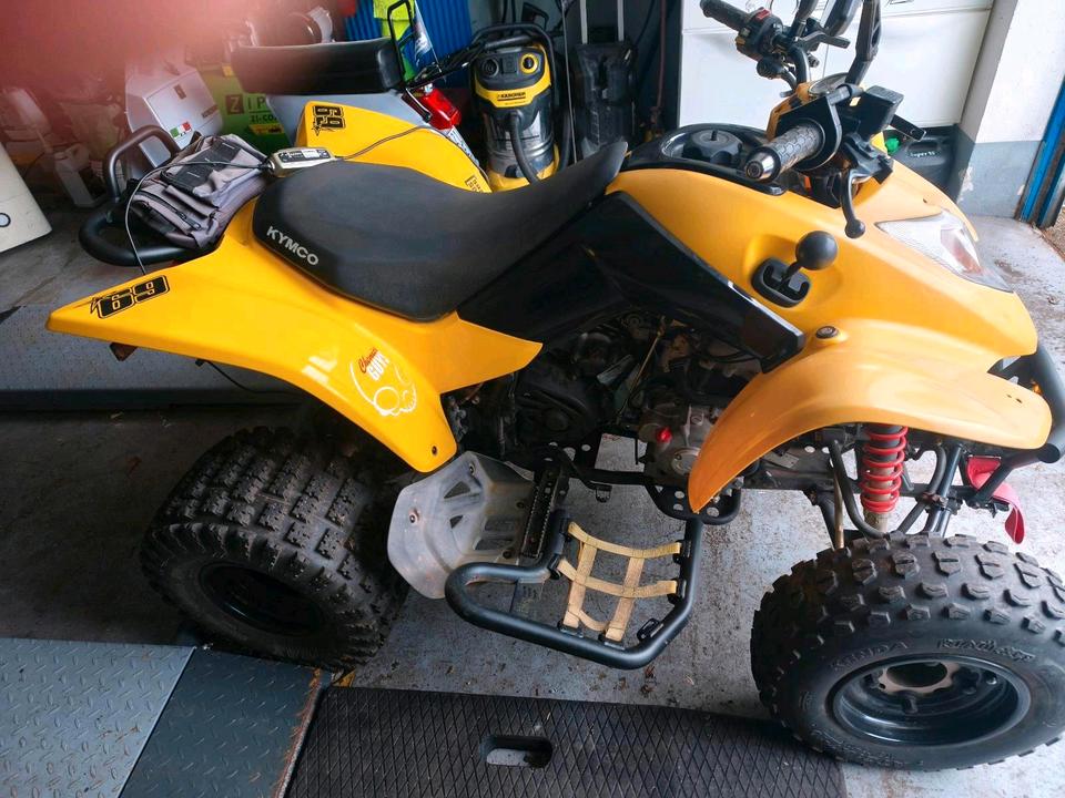 Kymco Kxr 250 Quad 2007 — interior