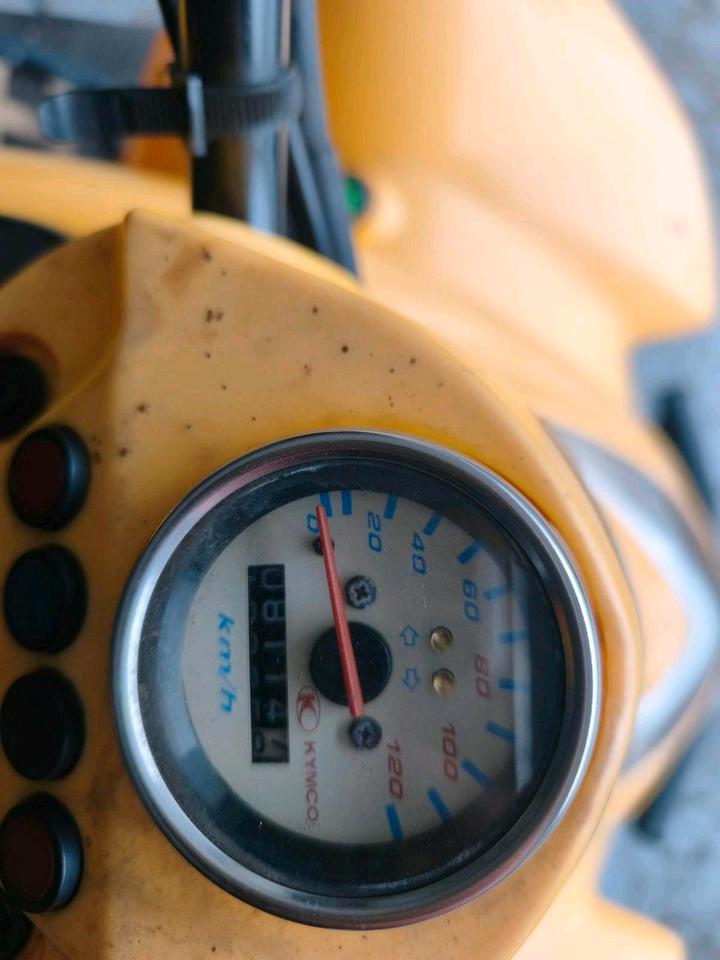 Kymco Kxr 250 Quad 2007 — photo 7