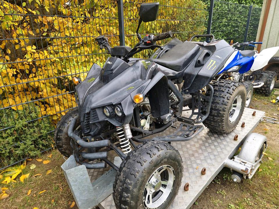 Weitere Motorräder Quad 250 Tausch 2013 — rear view