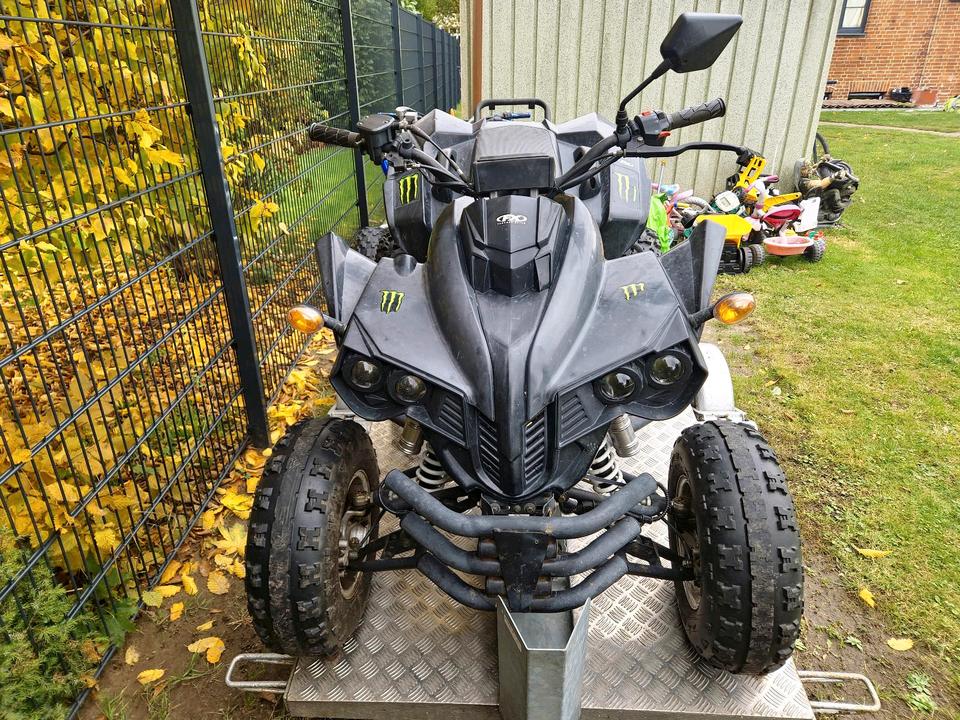 Weitere Motorräder Quad 250 Tausch 2013 — interior