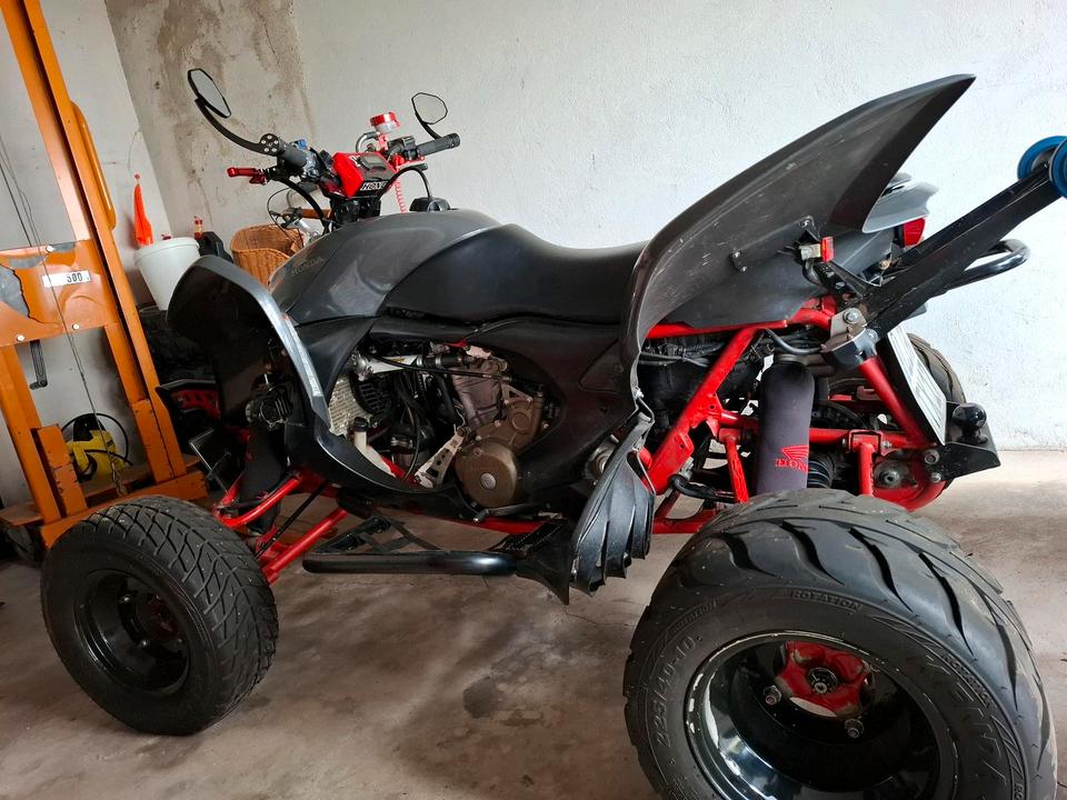 Honda Quad Honda TRX 700XX LOF Zulassung 2009 — rear view