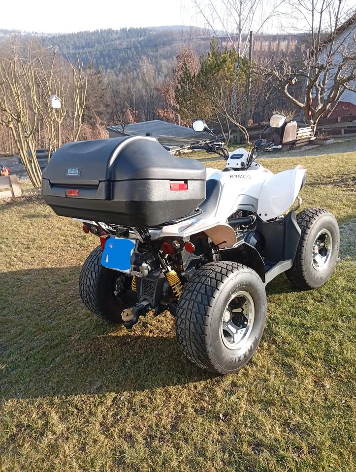 Kymco TÜV Neu....Sommer Quad ☺ 2011 — photo 6