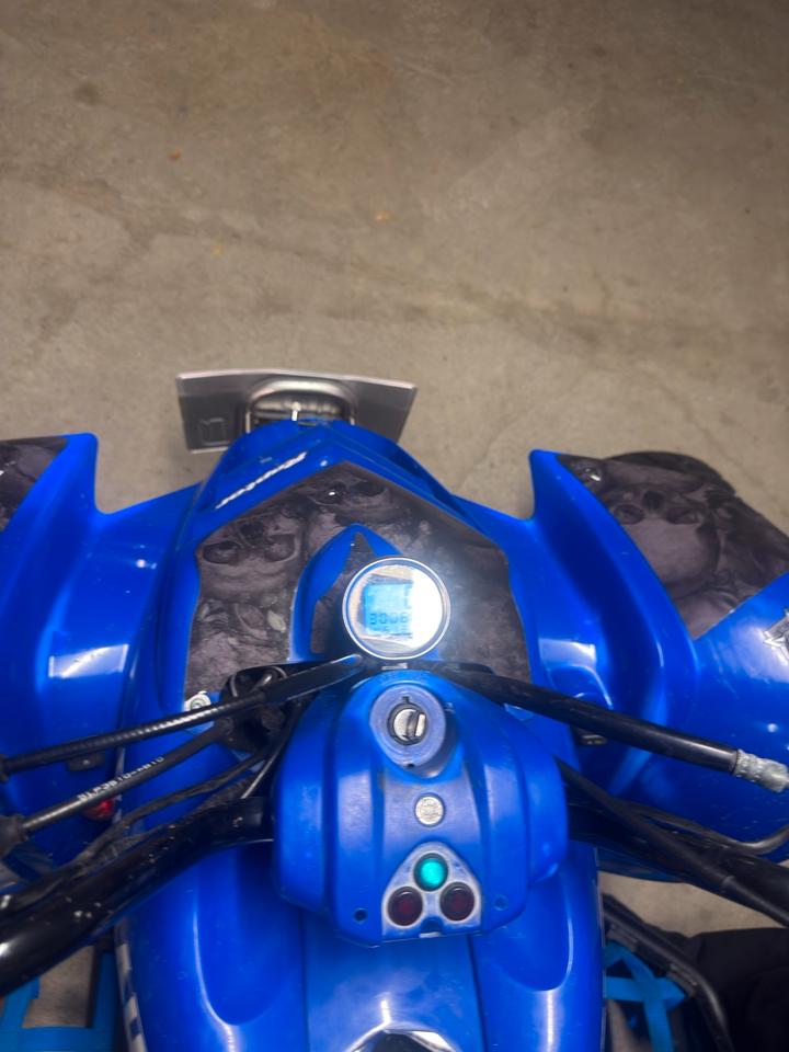 Yamaha Raptor 660 LOF 2004 — photo 10